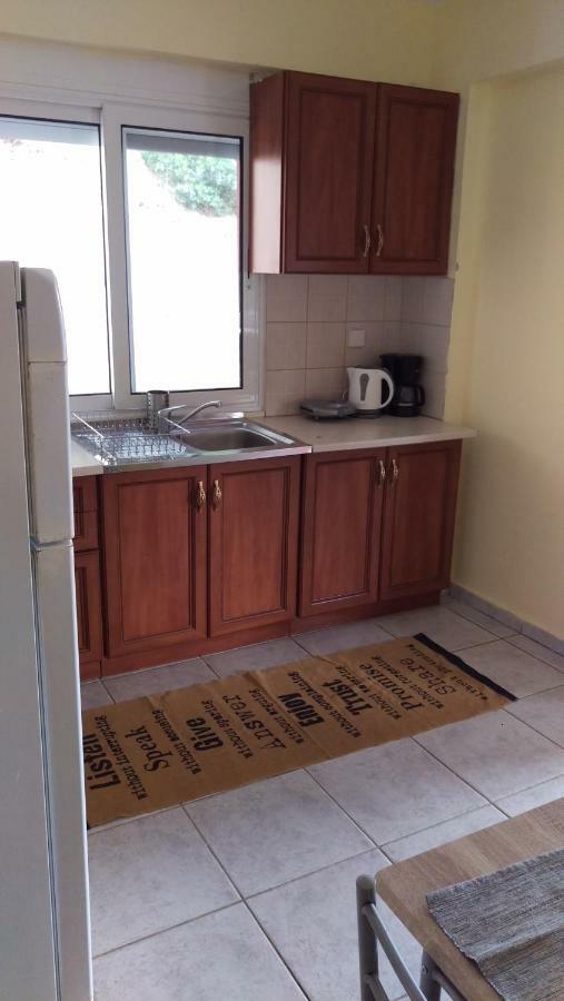 Dimitris & Vassiliki'S Apartment 波塞蒂 外观 照片